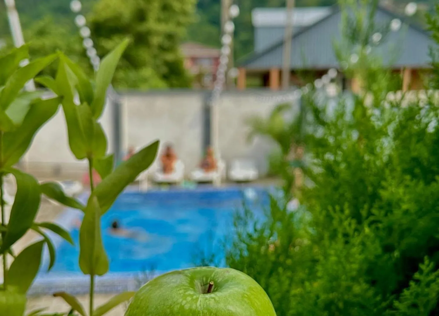 Minervaside Hotel Gonio