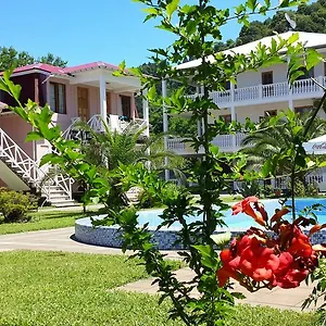 Nia Guest house